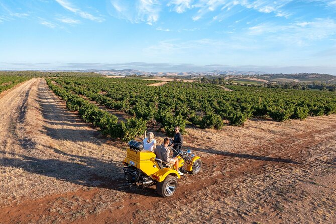 Private Barossas Best Sightseeing Tour for Two