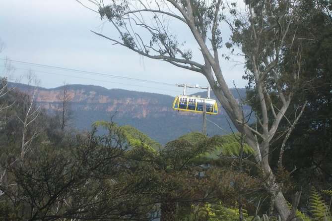 PRIVATE Blue Mountains 1 Day Tour With Wildlife Park & River Cruise - Tour Highlights and Inclusions