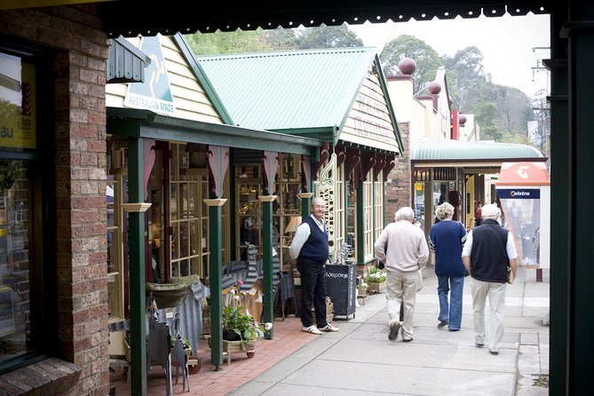 Private Dandenong Ranges Tour Including Puffing Billy