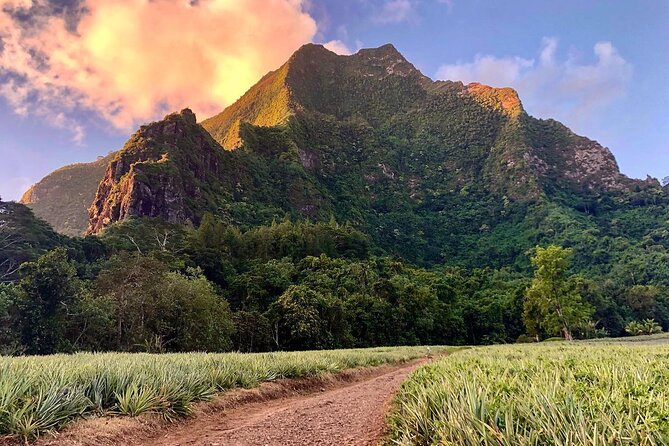 Private Half-Day Hike in the Opunohu Valley in Moorea - Tour Details and Requirements