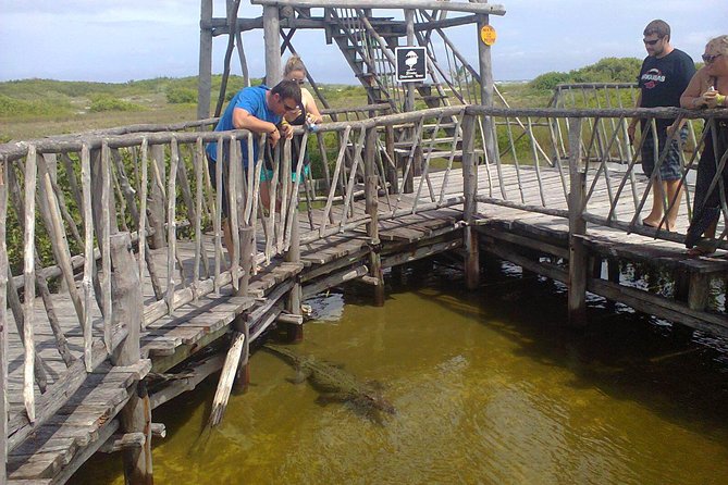 Private Jeep Excursion in Cozumel With Lunch and Snorkeling - Customization Options