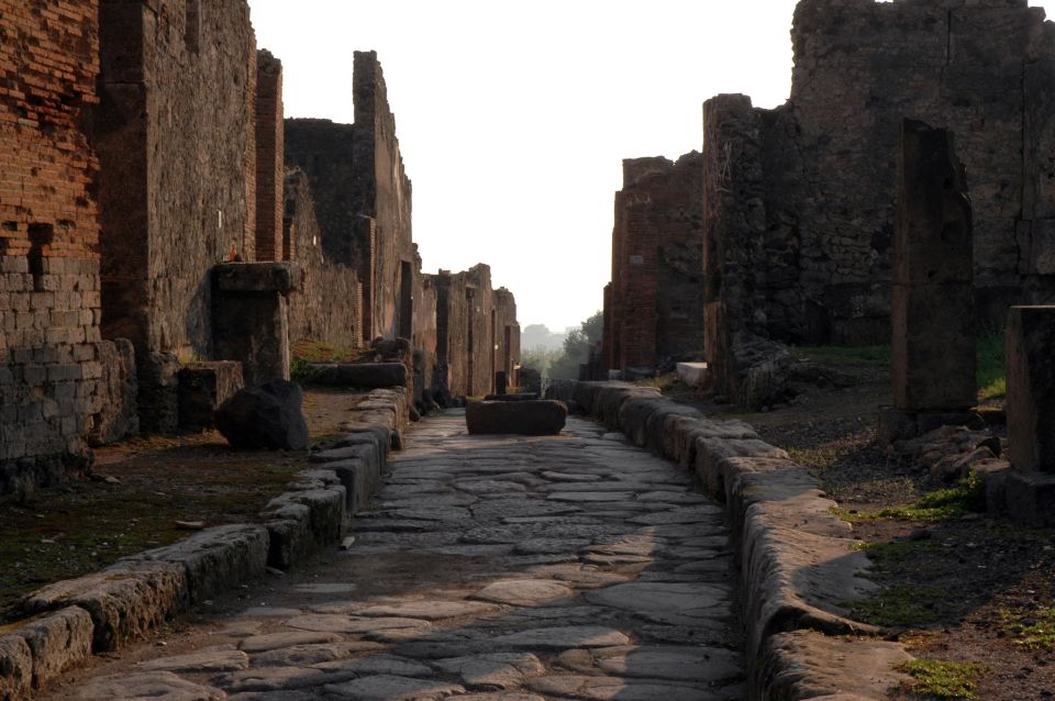 Private Pompeii & Vesuvius Wine Tasting Tour - Tour Details