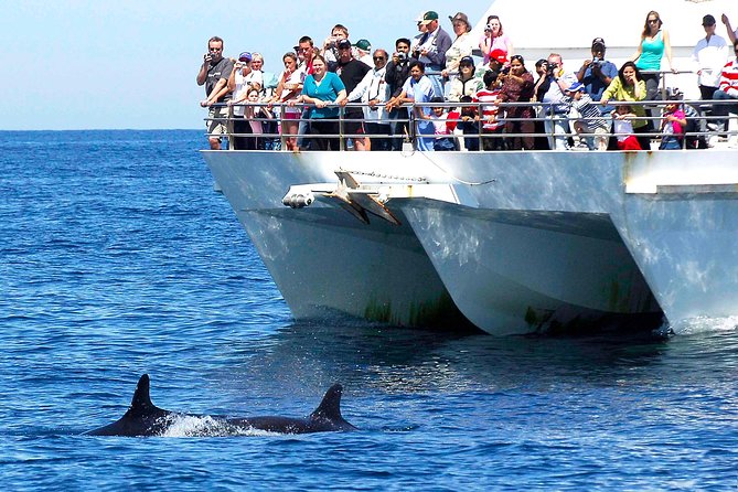 Private Port Stephens Day Trip From Sydney Incl Dolphin Cruise - Sydney to Port Stephens Journey