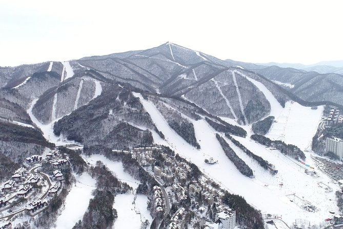 PRIVATE SKI TOUR in Pyeongchang Olympic Ski Resort(More Members Less Cost)