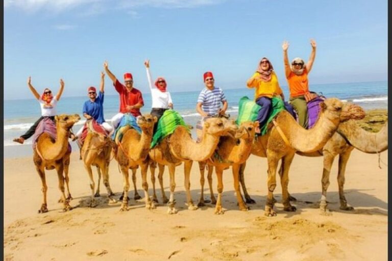 Private Tangier Tour From Cadiz Including Camel & Lunch