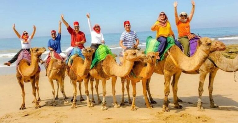 Private Tangier Tour From Estepona Including Camel & Lunch