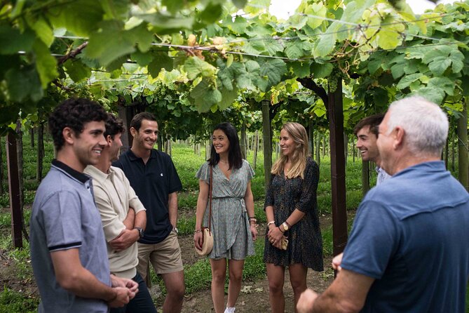 Private Tour at a Family Winery and Basque Coast Route