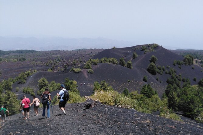 Private Tour of Mount Etna With Etna Doc Wine Tasting - Tour Overview and Inclusions