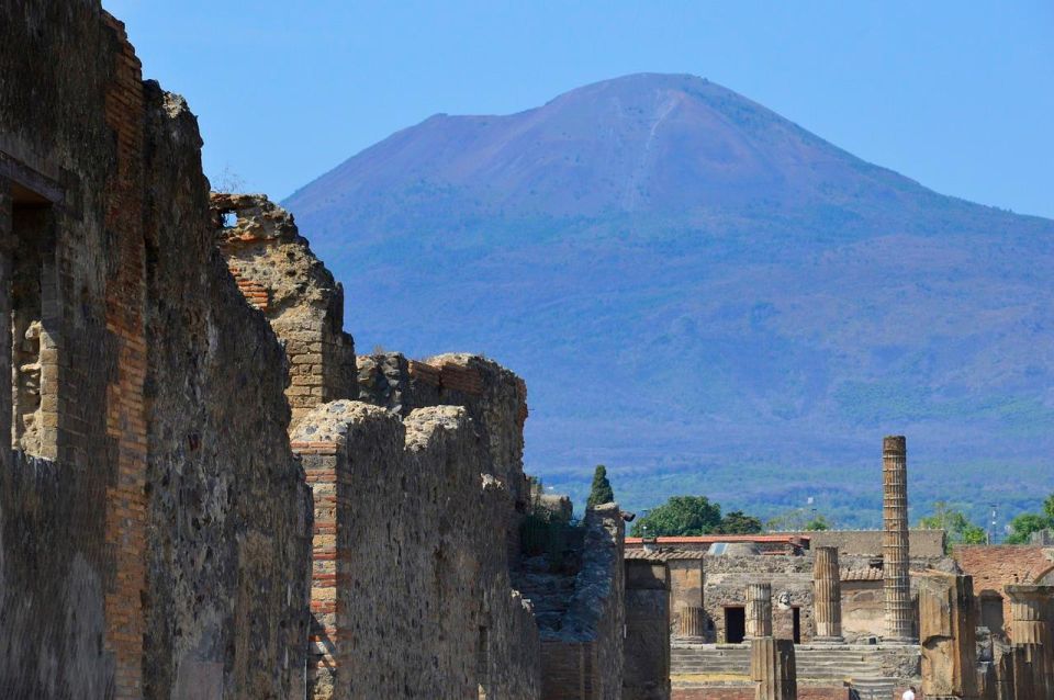 Private Tour:Pompeii,Herculaneum,Mount Vesuvius From Naples - Itinerary Highlights