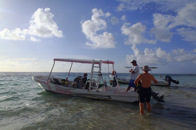 Puerto Morelos Reef National Park 2-Tank Scuba Dive  - Cancun - Dive Experience Details