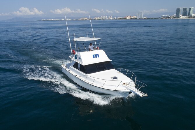 Puerto Vallarta Sightseeing, Snorkeling Cruise With Open Bar - Booking Details and Pricing