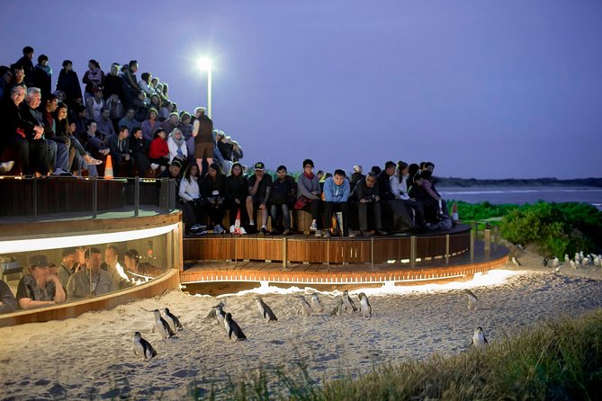 Pure Nature - Phillip Island, Penguins & Exclusive Wildlife Sanctuary Encounter - Discovering Phillip Islands Wonders