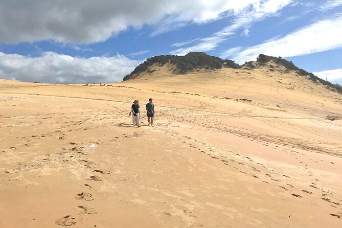 Rainbow Beach Tour With Lunch, Carlo Sandblow, and Cooloola - Tour Highlights and Inclusions