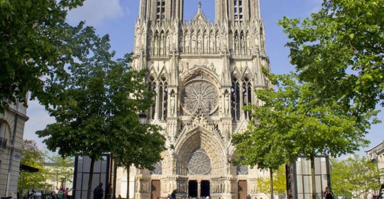 Reims: Guided Tour of Cathedral of Notre Dame De Reims