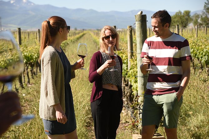 Rioja Alta and Rioja Alavesa Wine Tour - Tour Highlights