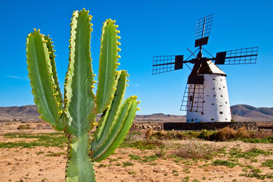 Romantic Fuerteventura Stroll: Historic Sites & Seaside Walk - Tour Pricing and Details