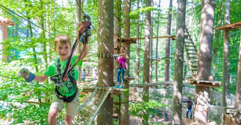 Rope Park Interlaken: Climbing Adventure With Entry Ticket