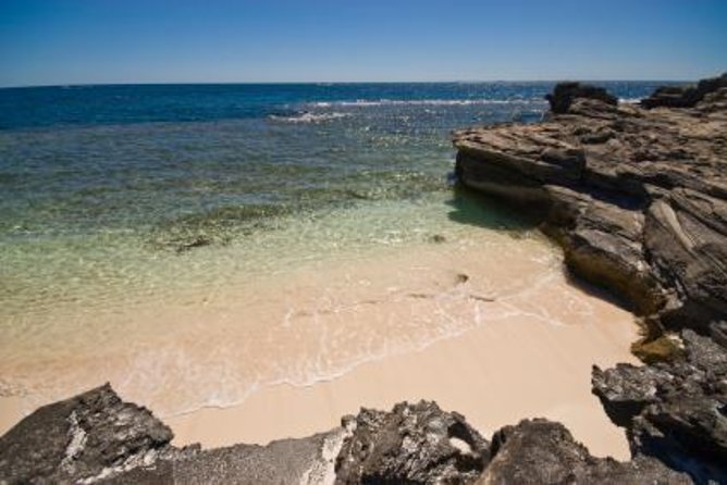 Rottnest Island Round-Trip Ferry From Perth