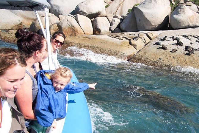 Seal Island Boat Tour From Victor Harbor