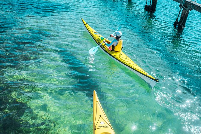 Self-Guided Sydney Middle Harbour Kayak 3 Hour Tour by Single Kayak - What to Expect on Tour