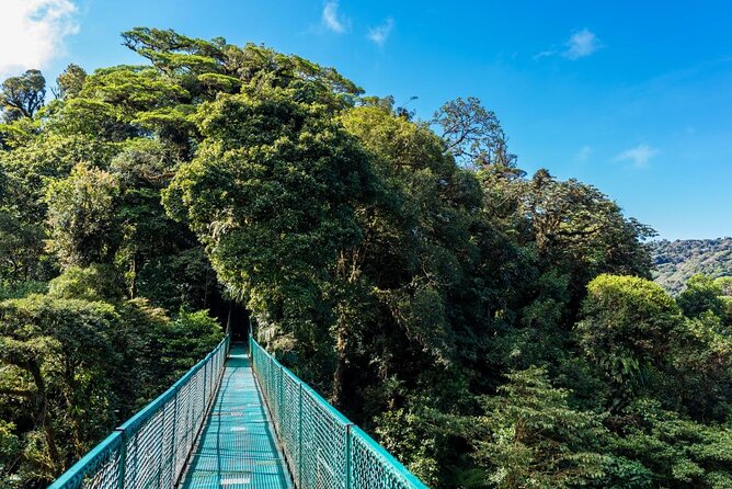 Selvatura Park Hanging Bridge Tour in Monteverde