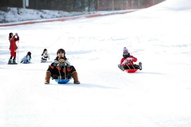 Seoul Ski Tour at Jisan Forest Resort - Tour Details and Inclusions