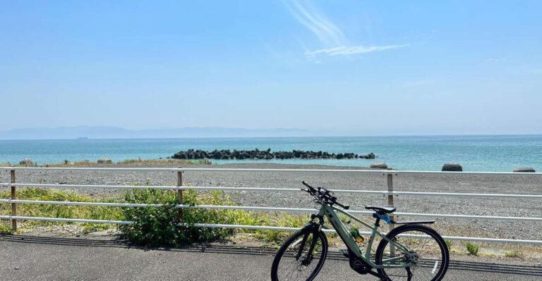 Shizuoka : Shimizu Port, E-Bike Tour