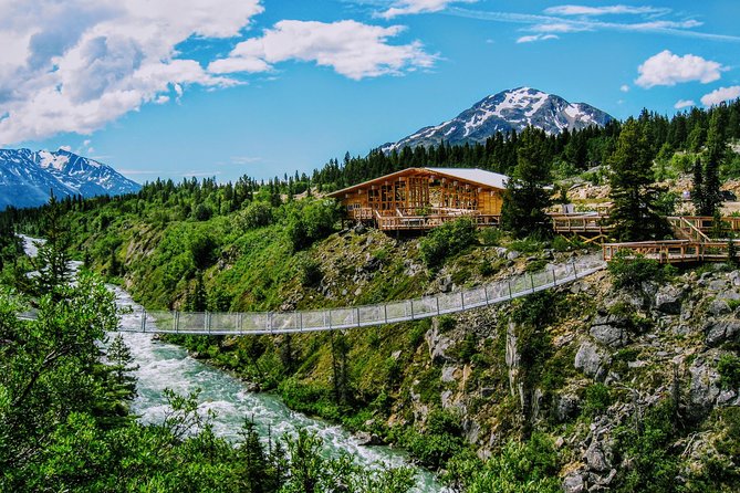 Skagway Shore Excursion: Half-Day Tour to the Yukon Border and Suspension Bridge