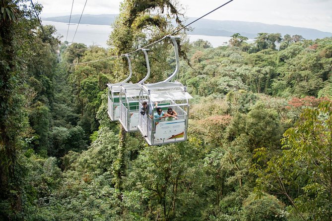 Sky Adventures Park Zipline Course and Aerial Tram in Arenal Park - Tour Details and Experience