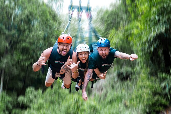 Skypark Adventure Day Pass - Adventure Details Unveiled