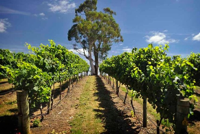 Small Group Adelaide Hills and Hahndorf Hideaway Tour From Adelaide - Adelaide Hills Tour Highlights