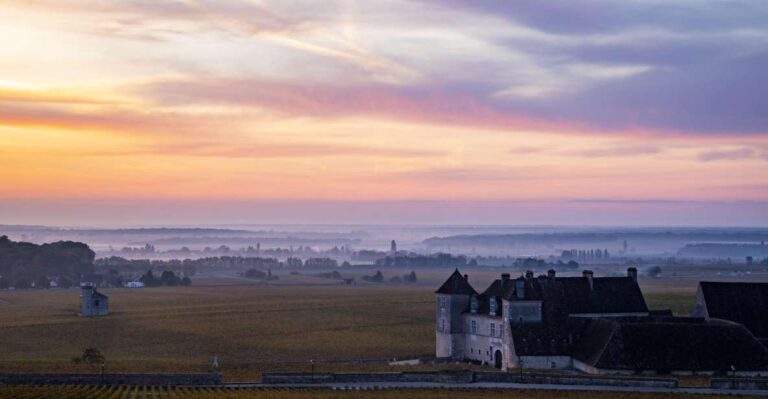 Small Group Tour Morning in Côte De Beaune