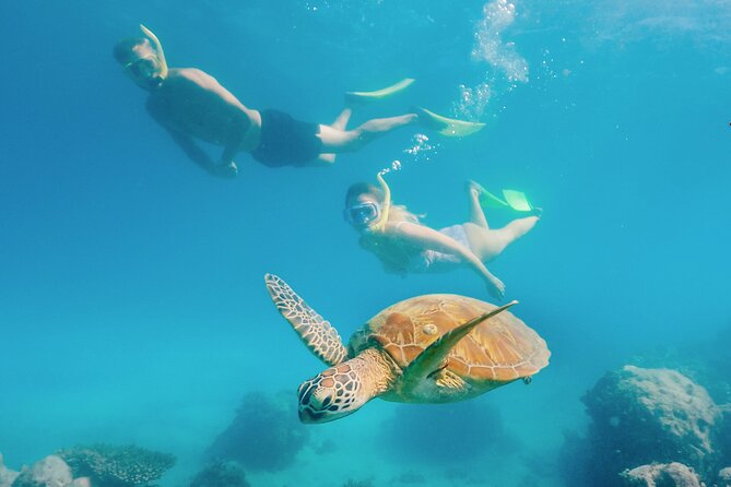 Snorkelling or Glass Bottom Boat at Green Island From Cairns - Choosing Your Island Adventure