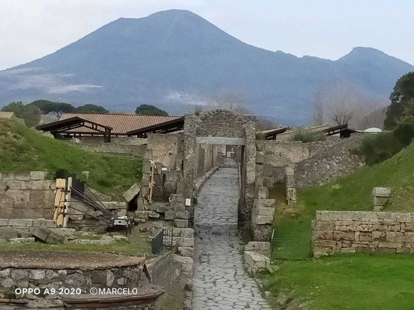 Sorrento: Half-Day Pompeii Tour With Official Guide - Tour Details