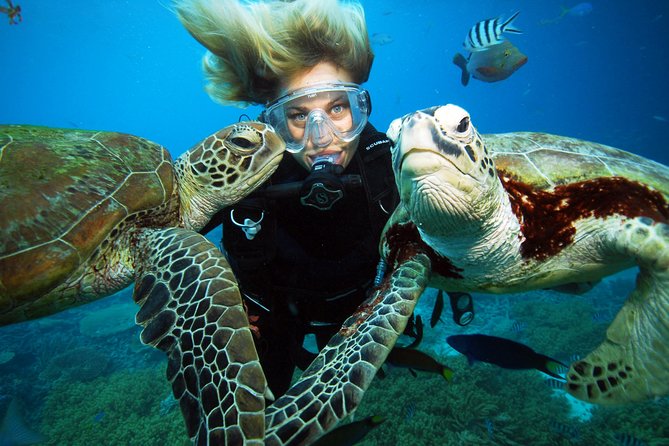 Sunlover Reef Cruises Cairns Great Barrier Reef Experience