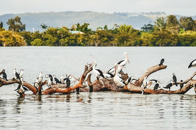 Sunset River Cruise Near Byron Bay