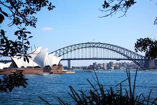 Sydney Half Day Private Tour: See Sydney Opera House and Bondi - Explore Sydney in Style