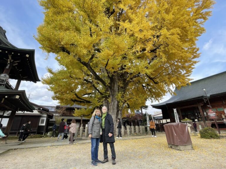 Takayama: Private Walking Tour With a Local Guide