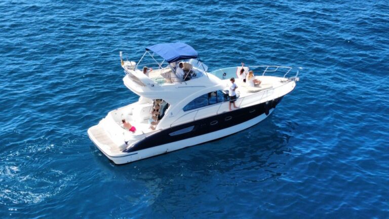 Tenerife: All-Inclusive 2 to 4 Hour Private Motorboat Tour