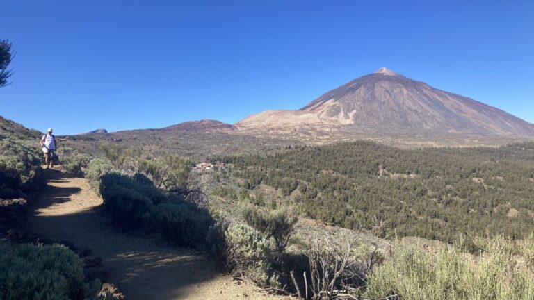 Tenerife: Private Guided Mindful Hike Teide With Transport