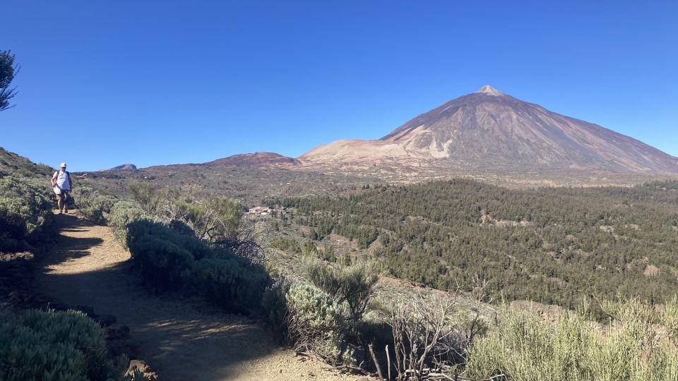 Tenerife: Private Guided Mindful Hike Teide With Transport - Activity Details