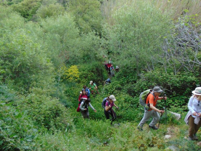 Tinos: Tarampados to Komi Guided Hiking Tour