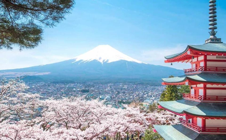 Tokyo: Mt Fuji Day Tour With Kawaguchiko Lake Visit - Tour Highlights