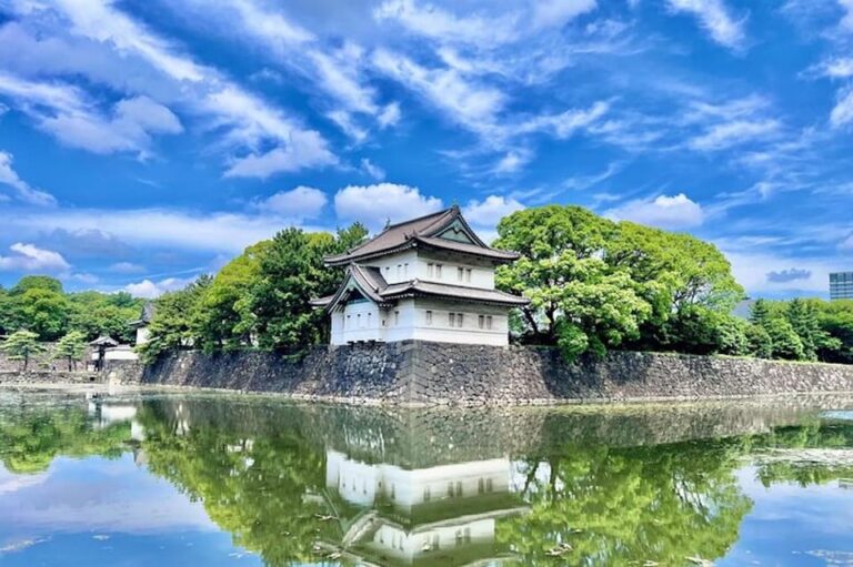 Tokyo: Tokyo Imperial Palace History Private Walking Tour