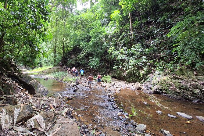 Tour at the Chagres Rainforest and Embera Indigenous Village