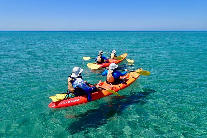 Turtle Tour - Ningaloo Reef Half Day Sea Kayak and Snorkel Tour - Tour Highlights and Inclusions