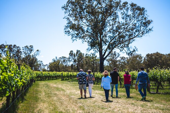 Upper Reach Winery: Swan Valley Winery and Vineyard Tour - Tour Highlights and Inclusions