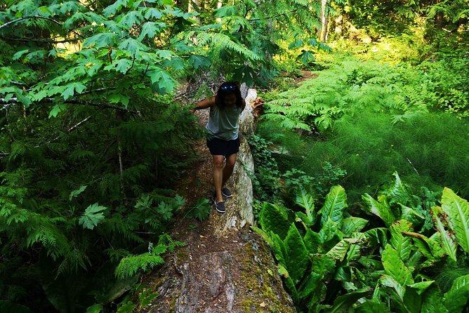 Vancouver Island Rainforest Guided Hike With Private Guide - Tour Overview