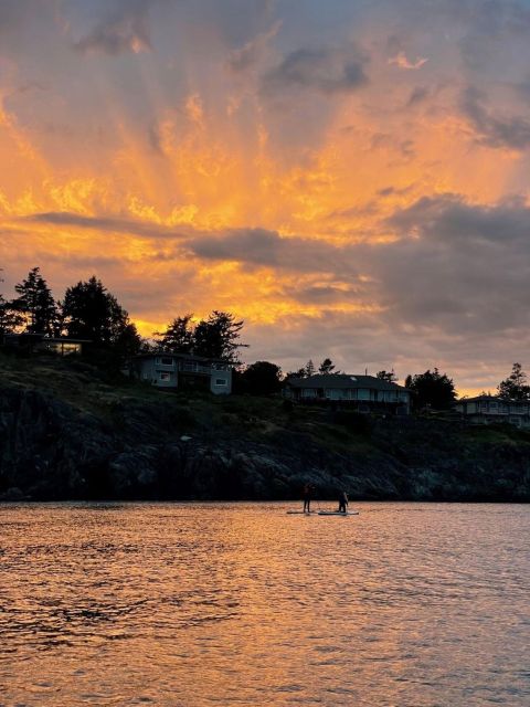 Victoria: Sunrise or Sunset SUP Tour