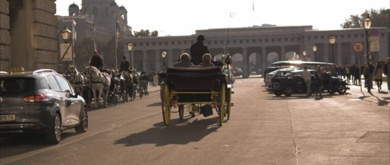 Vienna: Private Walking Tour to The Hofburg & Graben Street